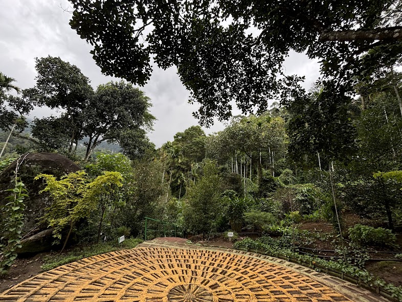 wonder valley adventure park munnar